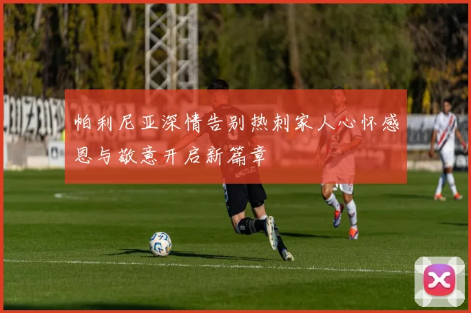 帕利尼亚深情告别热刺家人心怀感恩与敬意开启新篇章